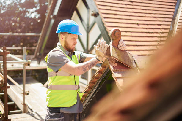Best Roof Leak Repair  in Twin Lakes, CO